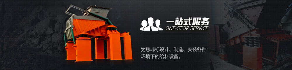 一站式服務,為您非標設計、制造、安裝各種環境下的給料設備